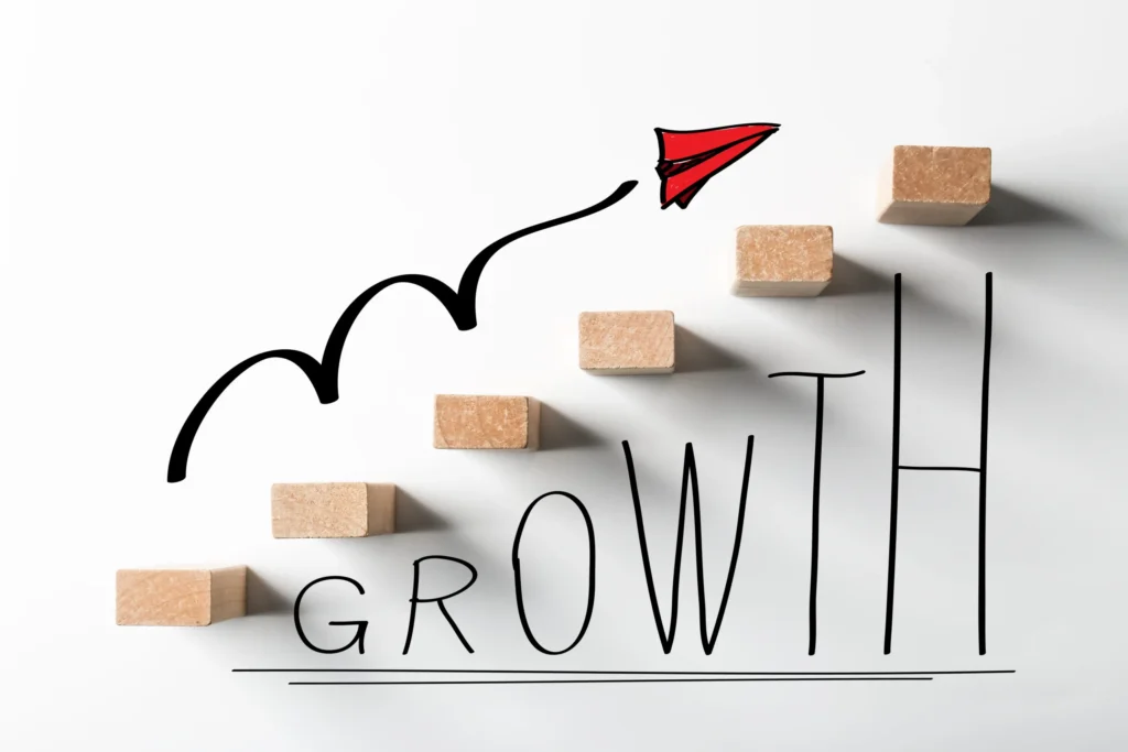 How Successful People Lead book