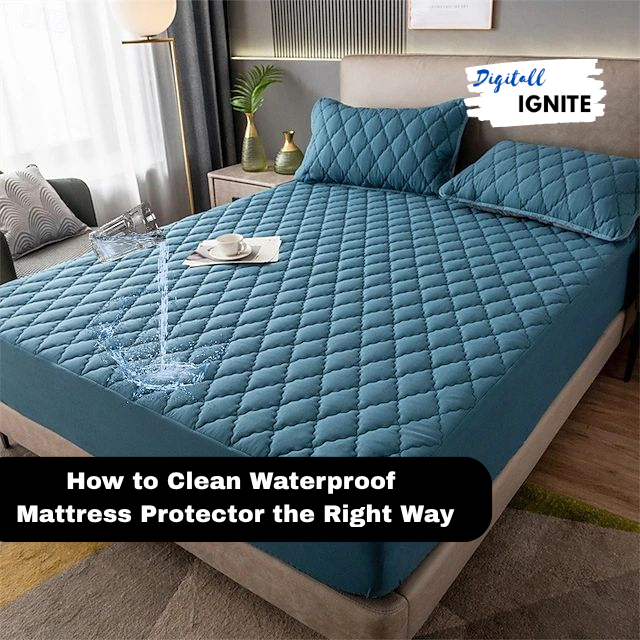 How to Clean Waterproof Mattress Protector the Right Way