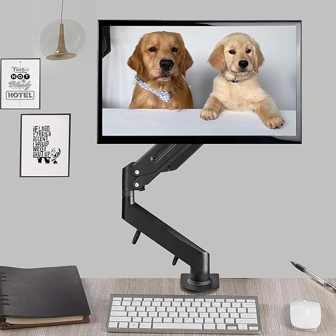 Monitor Arm